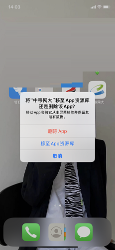 中移网大截图