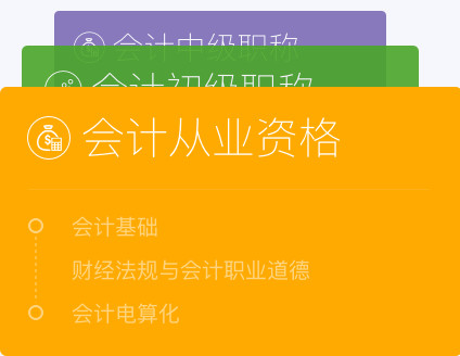 369会计教育电算化全真模拟软件截图