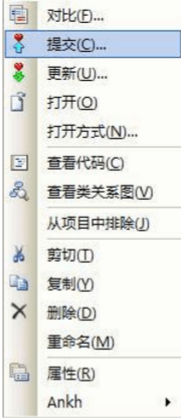 AnkhSVN截图