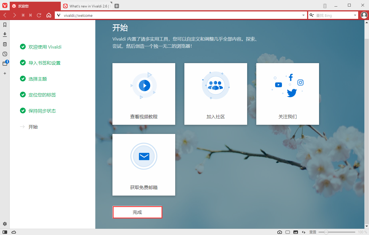 Vivaldi浏览器截图