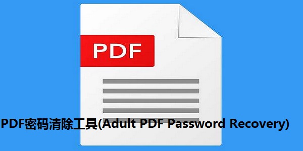 PDF密码清除工具(Adult PDF Password Recovery)截图