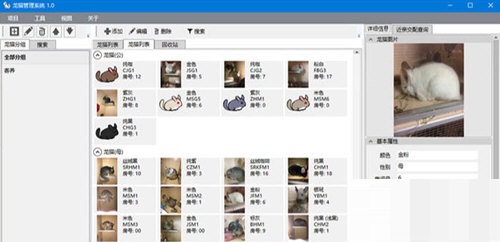 龙猫管理软件截图