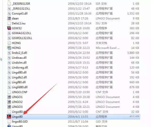 Lingo 8.0截图