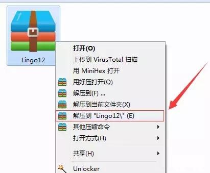 Lingo 12截图