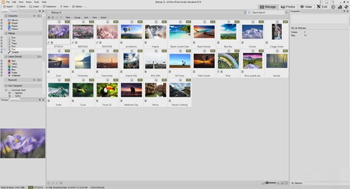 ACDSee Photo Studio Standard截图