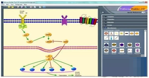 Pathway Builder Tool截图