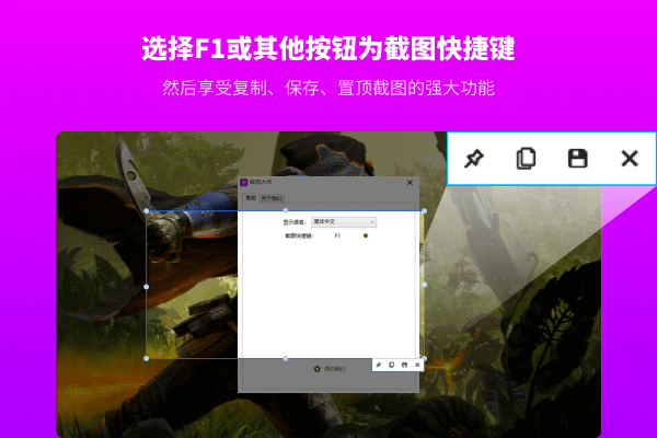 截图大师下载 截图大师截图