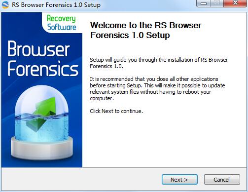 RS Browser Forensics截图