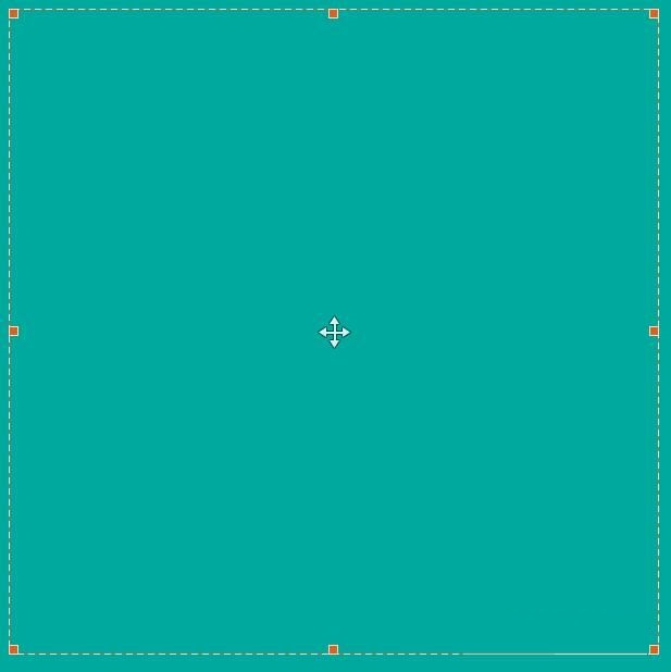 Tipard Screen Capture截图