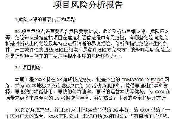 项目风险分析报告截图