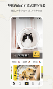 小狗在家宠物寄养截图