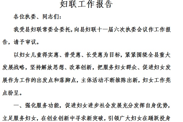 妇代会工作报告截图