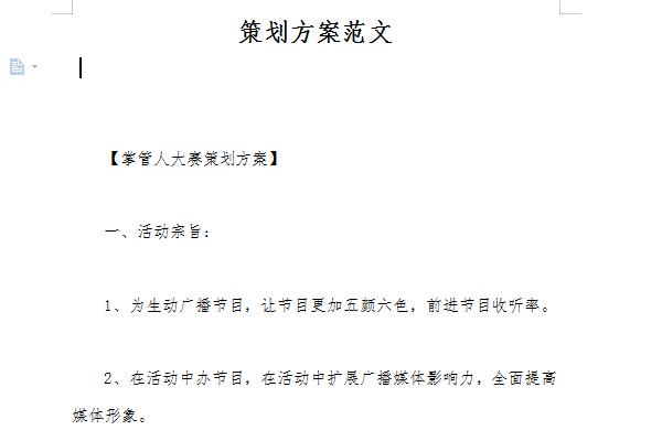 营销策划书范文截图