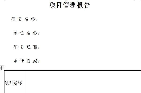 项目管理报告截图