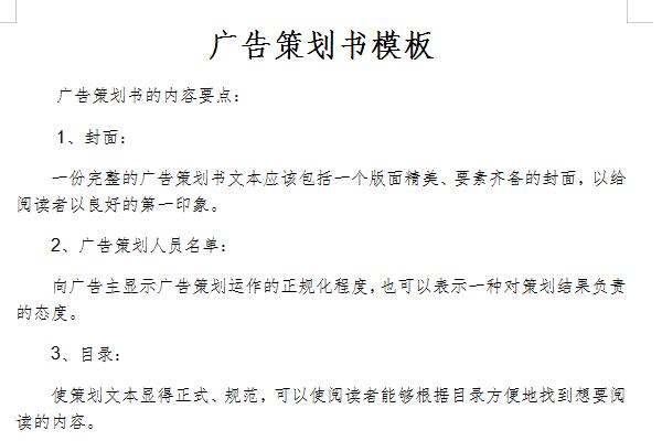 广告策划书模板截图