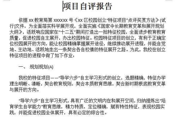 项目自评报告截图
