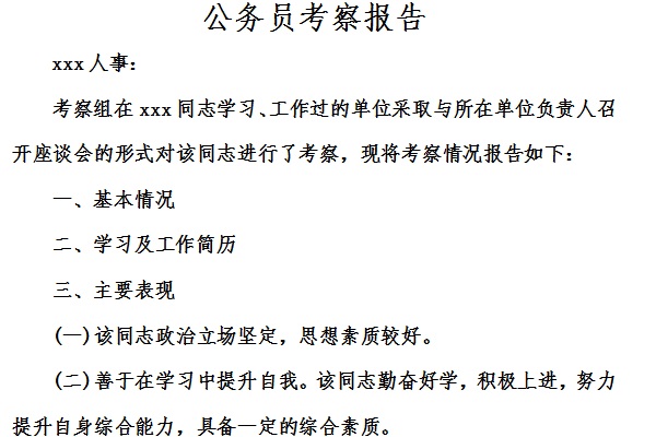 供应商考察报告截图