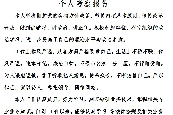 个人考察报告截图