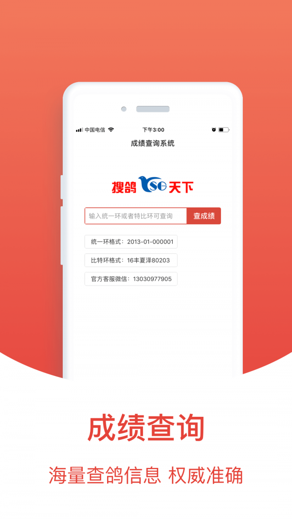 赛鸽头条截图