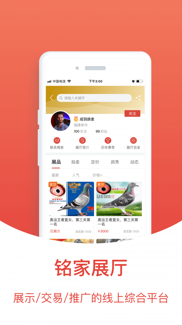 赛鸽头条截图