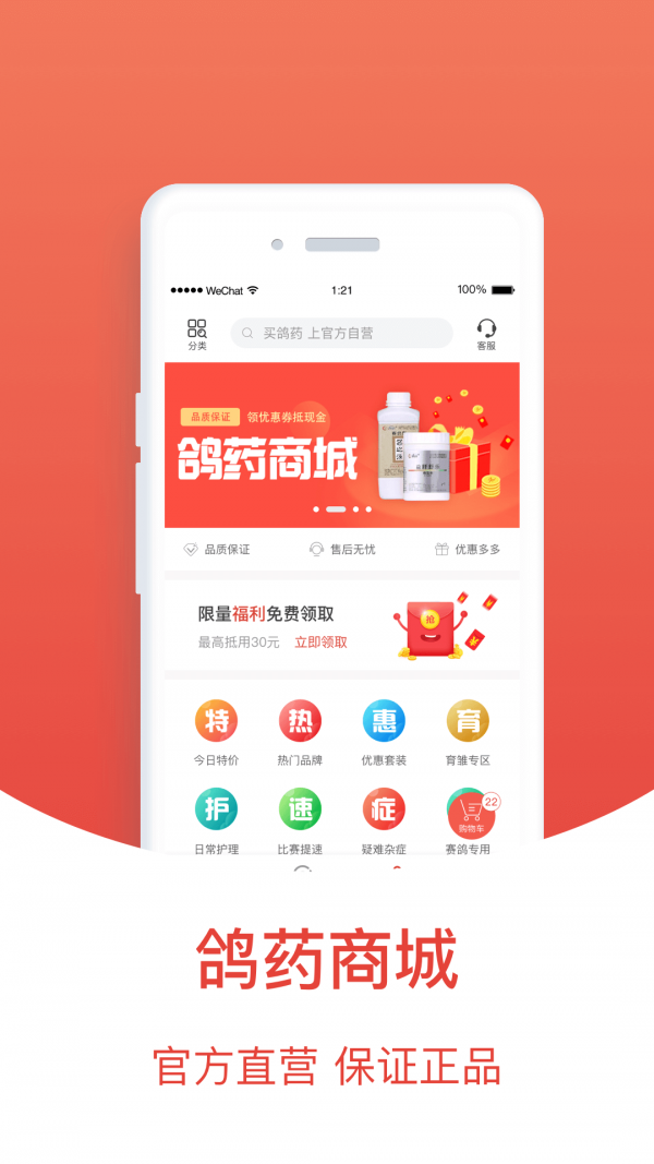 赛鸽头条截图