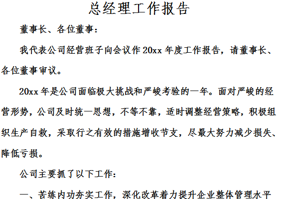 总经理工作报告截图