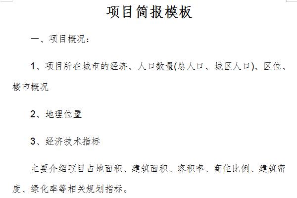 项目简报模板截图