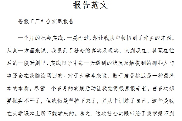 报告范文截图