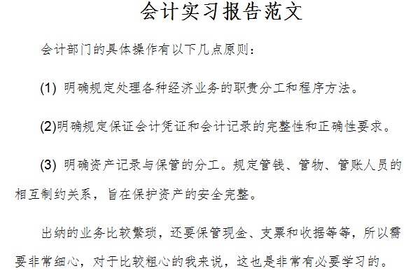 会计实习报告范文截图