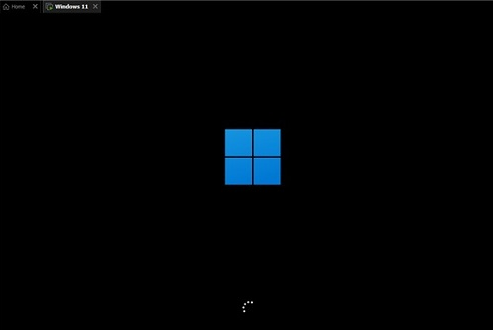 win11 64位纯净版截图