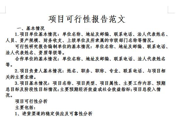 项目可行性分析模板截图