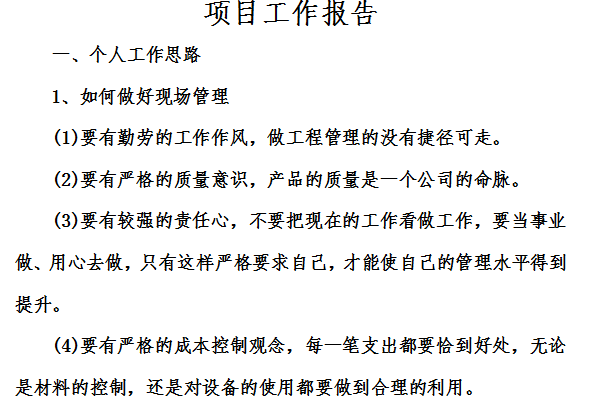 项目工作报告截图
