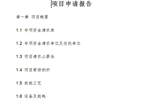 项目申请报告截图