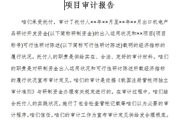 项目审计报告截图