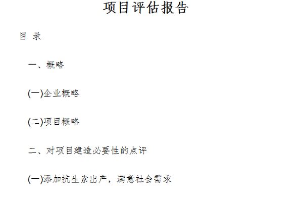 项目评估报告截图