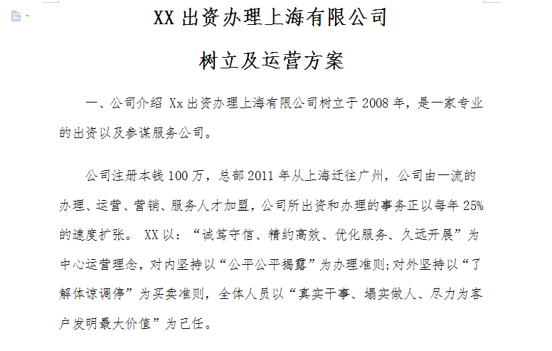 公司运营方案范文截图