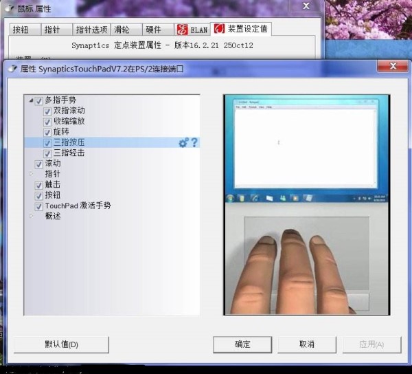 synaptics定点装置截图