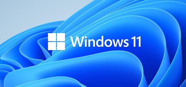 win11纯净版截图