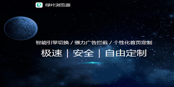 绿叶浏览器截图