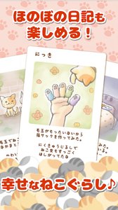 猫毛截图