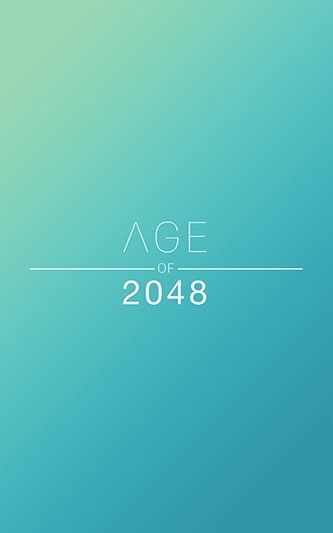 2048时代截图