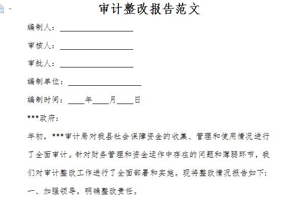 审计整改情况报告范文截图