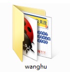 网狐截图