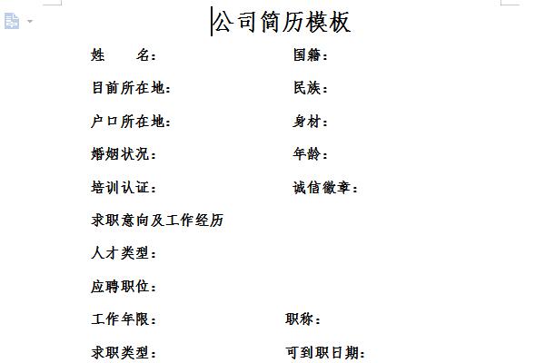 公司简历模板截图