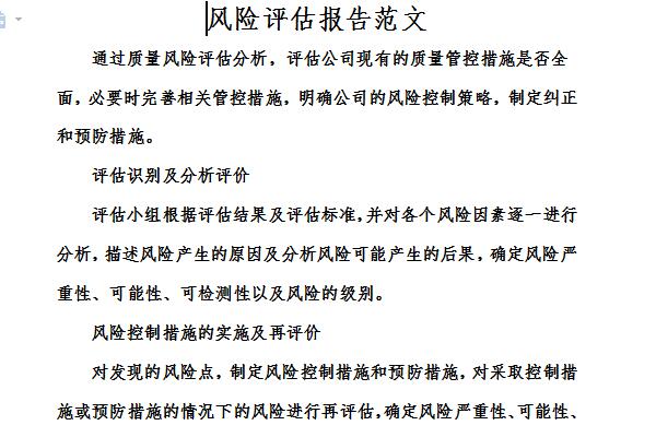 风险评估报告范文截图