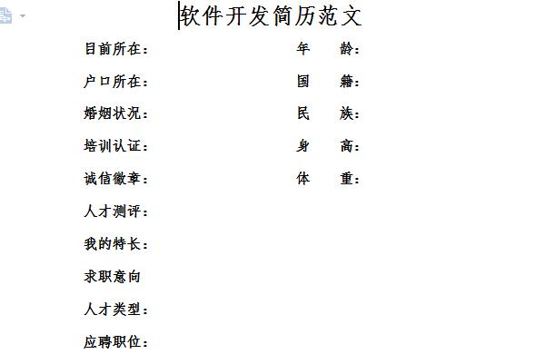 软件工程师简历范文截图