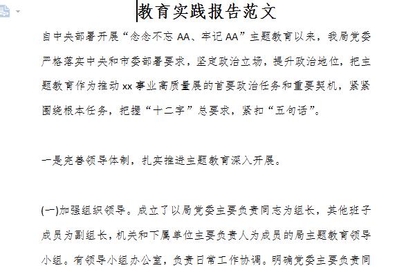 教育实践报告范文截图