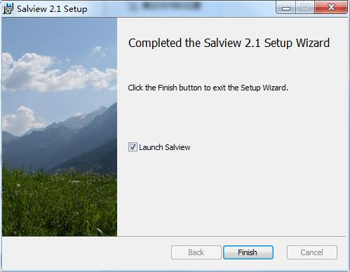 Salview截图