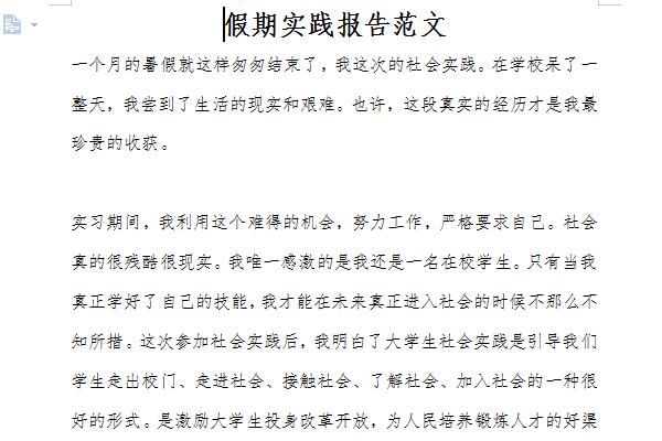 假期实践报告范文截图