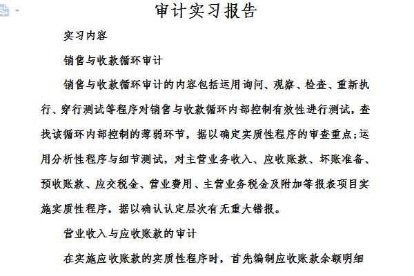 审计实习报告截图